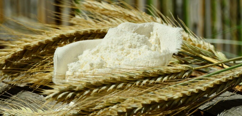 Farina con Spiga di Grano